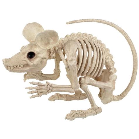 halloween skeleton rat|halloween rats toys.